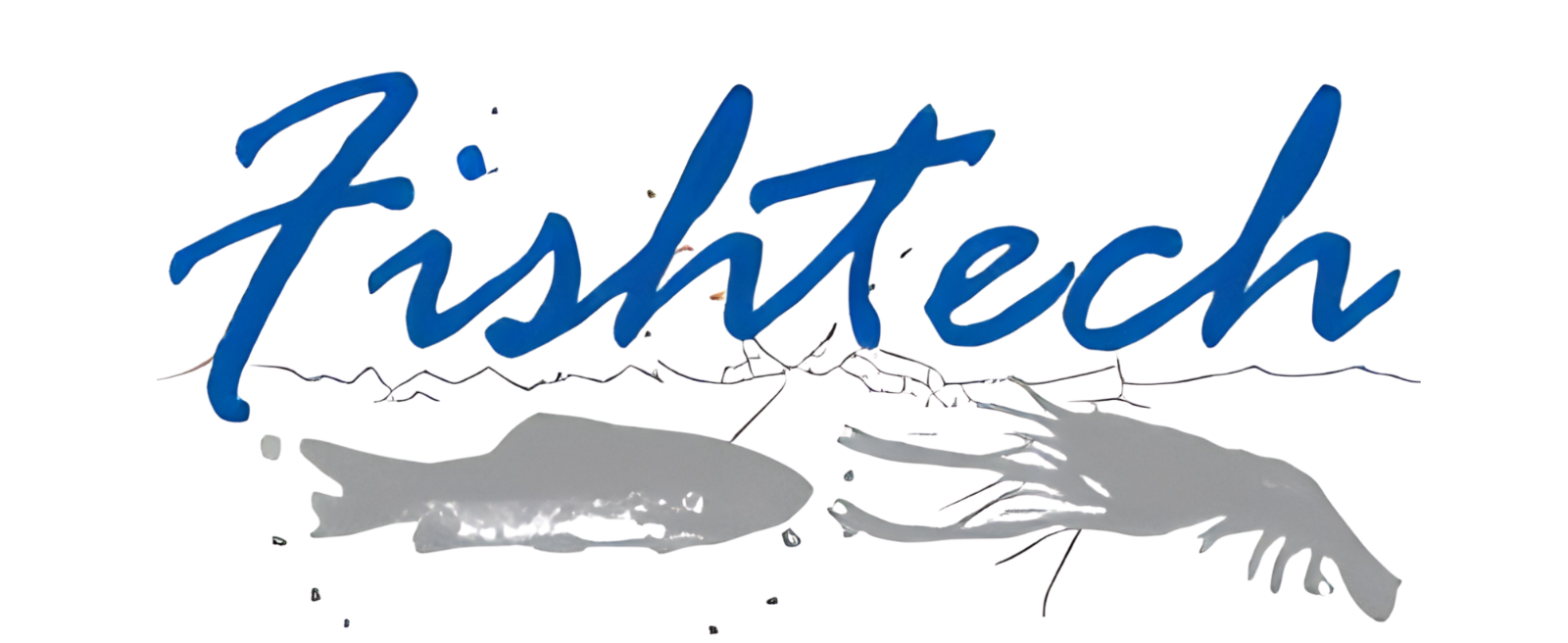 Fishtech (BD) Limited