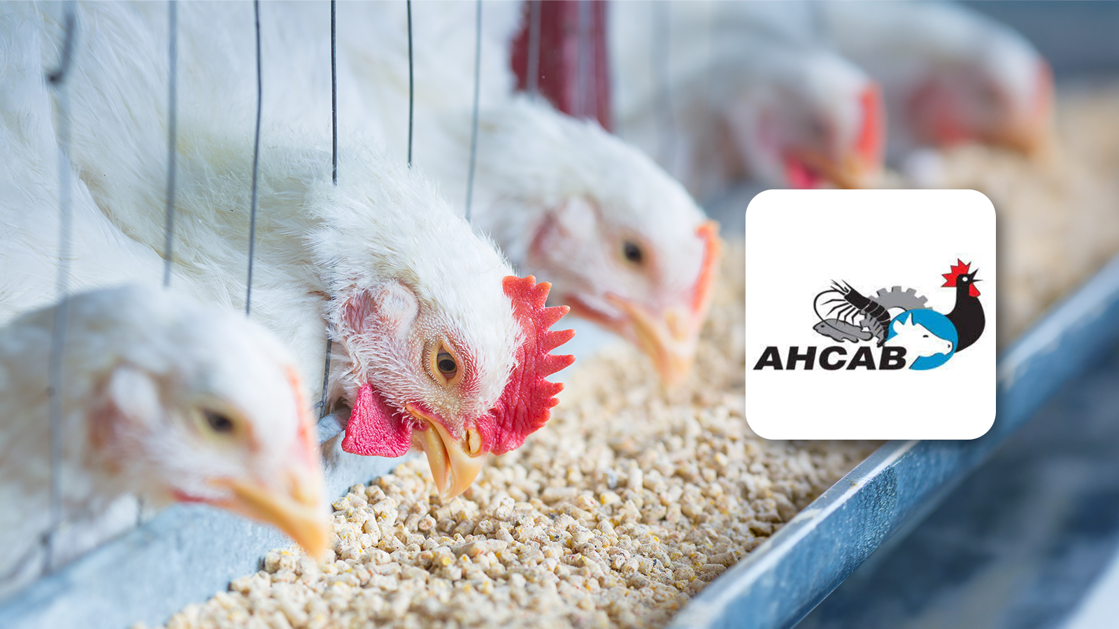 Trade Policy and Regulatory Reform for the Animal Health Sector