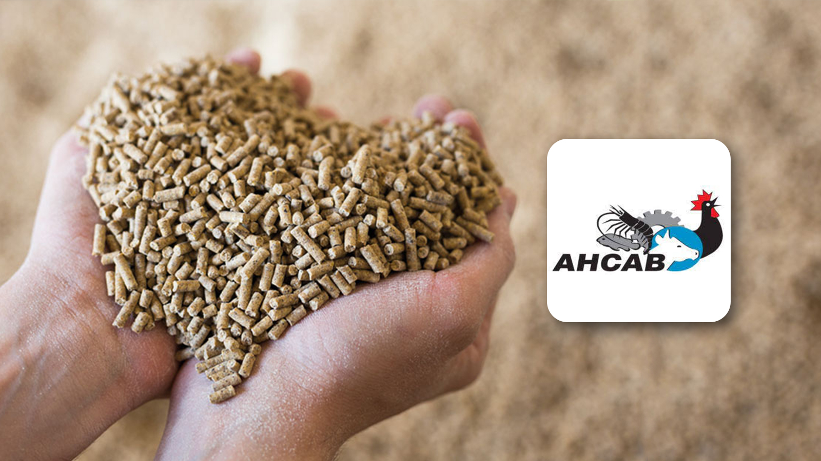 Assessment of Bangladesh's Nutrition and Animal Health Ecosystems to Support Strategic Trade and Policy Reform Initiatives
